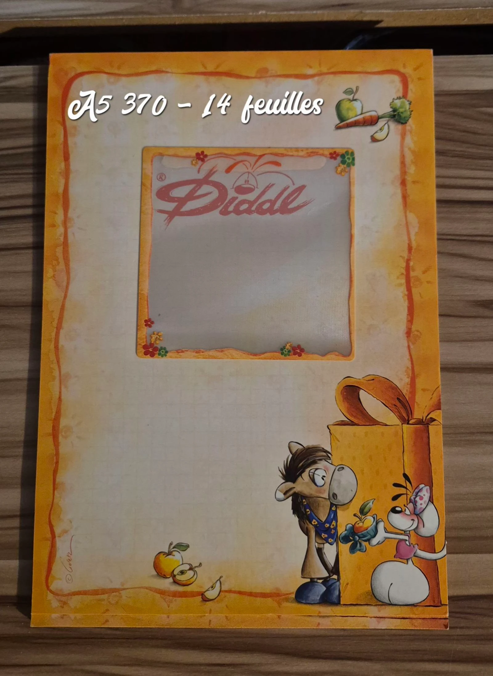 Bloc Diddl A5 370